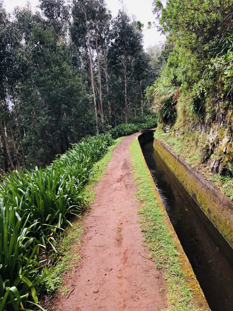 typical Levada 